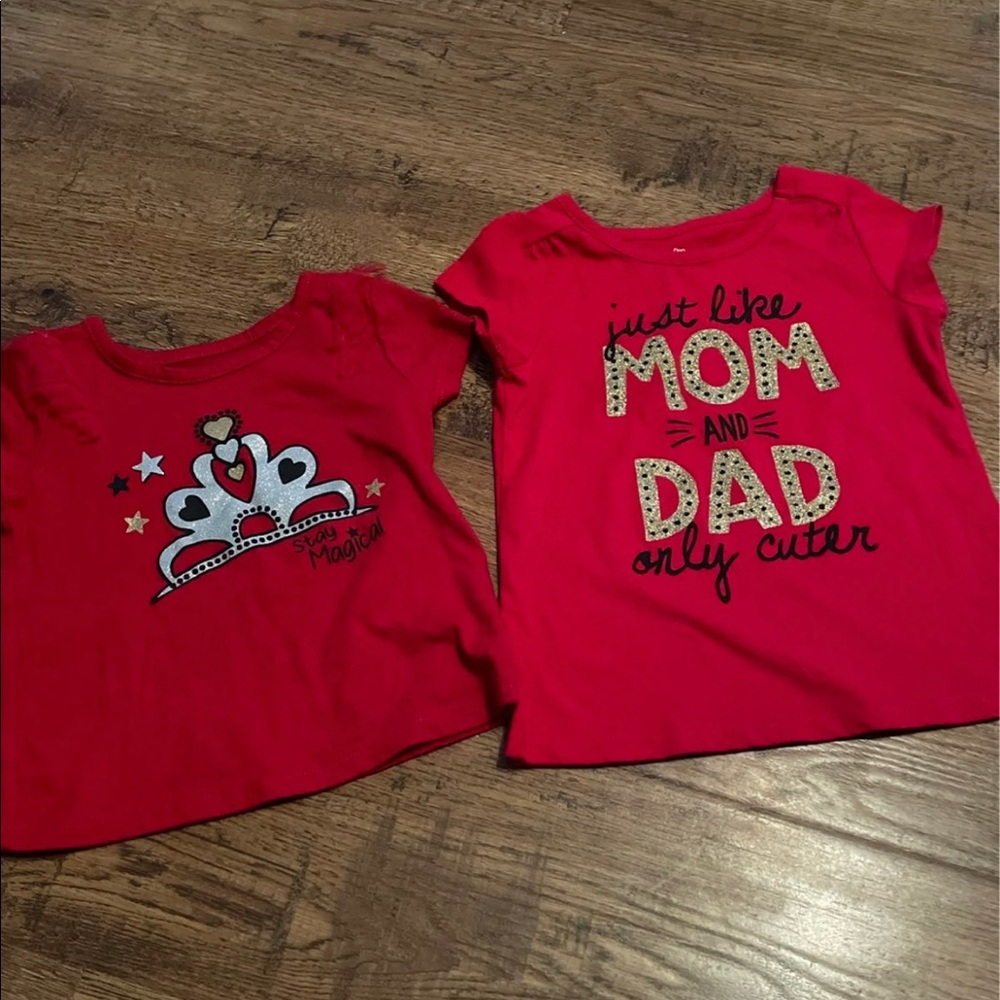 Girls 18-24 month tops